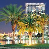 Orlando-Lake-Eola-skyline-at-night.jpg